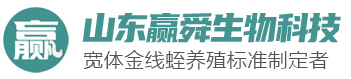 GA黄金甲