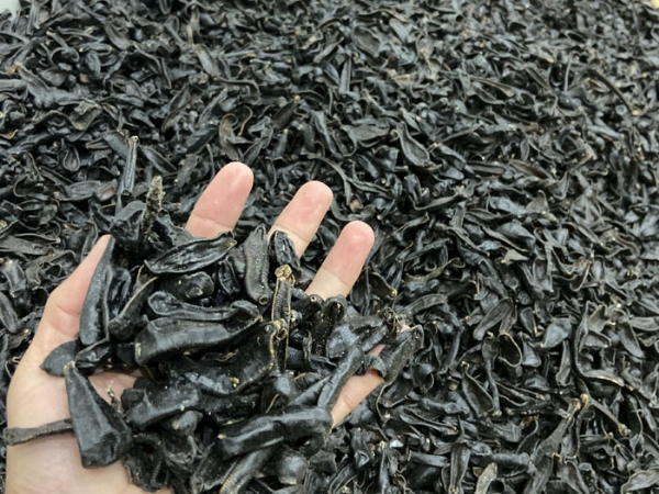 GA黄金甲制品