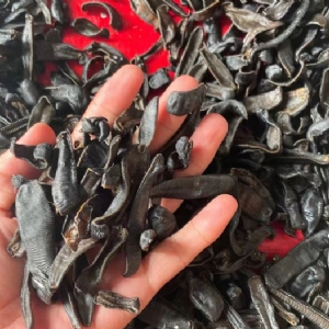 GA黄金甲制品