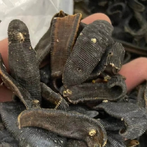 GA黄金甲制品