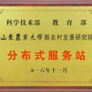 资质声誉