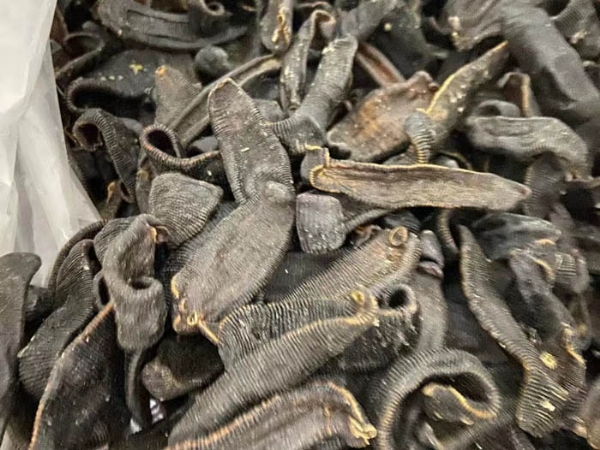 GA黄金甲加工的几种方式