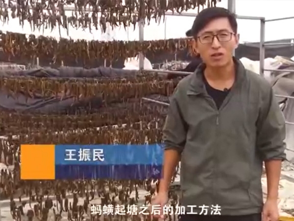 GA黄金甲加工要领