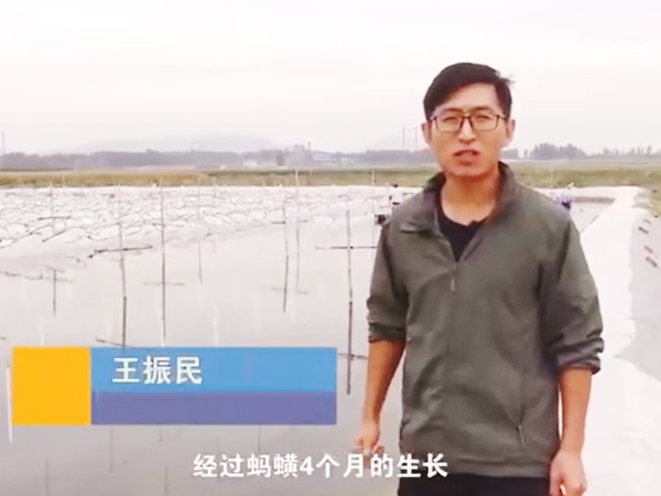 GA黄金甲收获流程