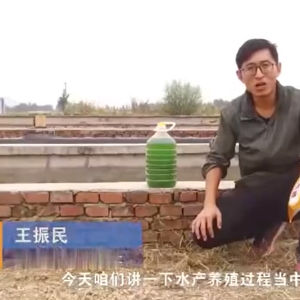 水产养殖历程中藻类的使用介绍