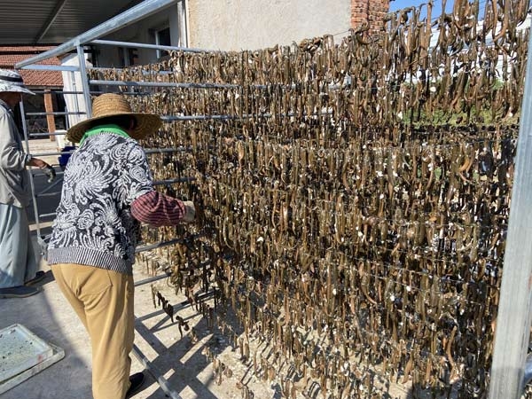 GA黄金甲制品